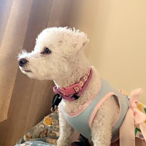 Meet your Posher, Laura